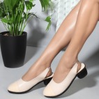 Stylish Pointed 173